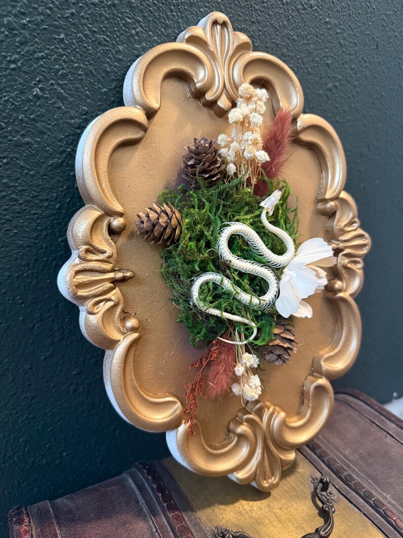 May include: A gold-painted, ornate oval frame containing a white snake skeleton, green moss, small pinecones, dried white flowers, and reddish-brown dried grasses. The arrangement is centered within the frame, creating a textured display.
