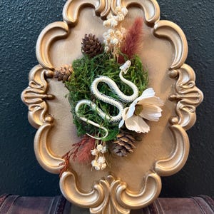May include: A white snake skeleton is mounted on a gold-colored oval frame. The display features green moss, brown pinecones, dried white flowers, and reddish-brown plumes arranged around the central skeletal snake figure.