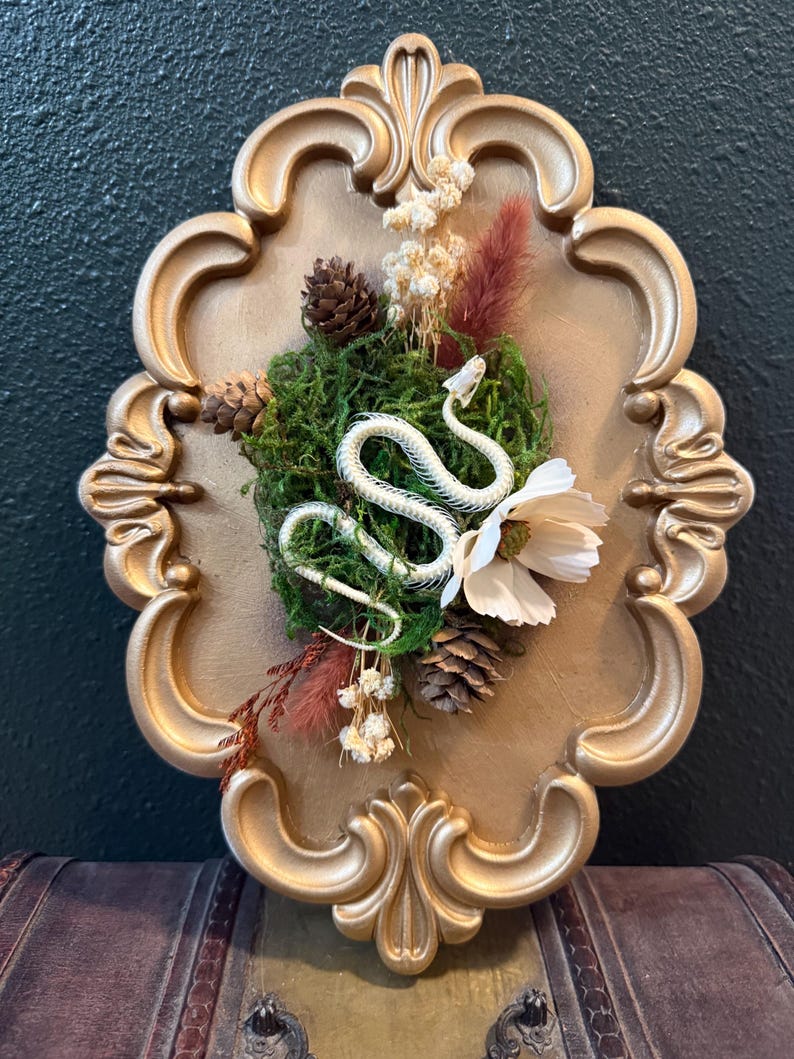 May include: A white snake skeleton is mounted on a gold-colored oval frame. The display features green moss, brown pinecones, dried white flowers, and reddish-brown plumes arranged around the central skeletal snake figure.