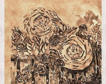 Antique Roses