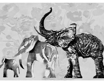 Elephants Black And white