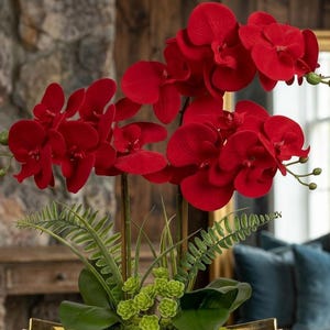 Op de afbeelding: Een levendig kunstorchidee-arrangement met meerdere dieprode phalaenopsis-bloemen op hoge stelen. De basis bevat groene varenbladeren en kleine lichtgroene vetplantachtige trossen, wat zorgt voor een dicht en gelaagd botanisch geheel.