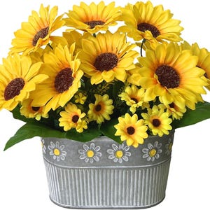 May include: A vibrant arrangement of yellow sunflowers with brown centers and green leaves, presented in a galvanized metal pot. The pot is decorated with daisy patterns around the rim, creating a cheerful floral display.