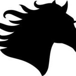 Horse Head Vinyl Decal I FREE SHIPPING on Eligible Orders! I Equestrian I Waterproof I Horse