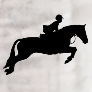 May include: Silhouette of a rider jumping a horse. The rider is wearing a helmet and the horse is in mid-air.