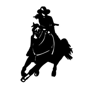 Cowgirl Mounted Shooting Horse Vinyl Decal - FREE SHIPPING on Eligible Orders! I Equestrian I Waterproof I Equine