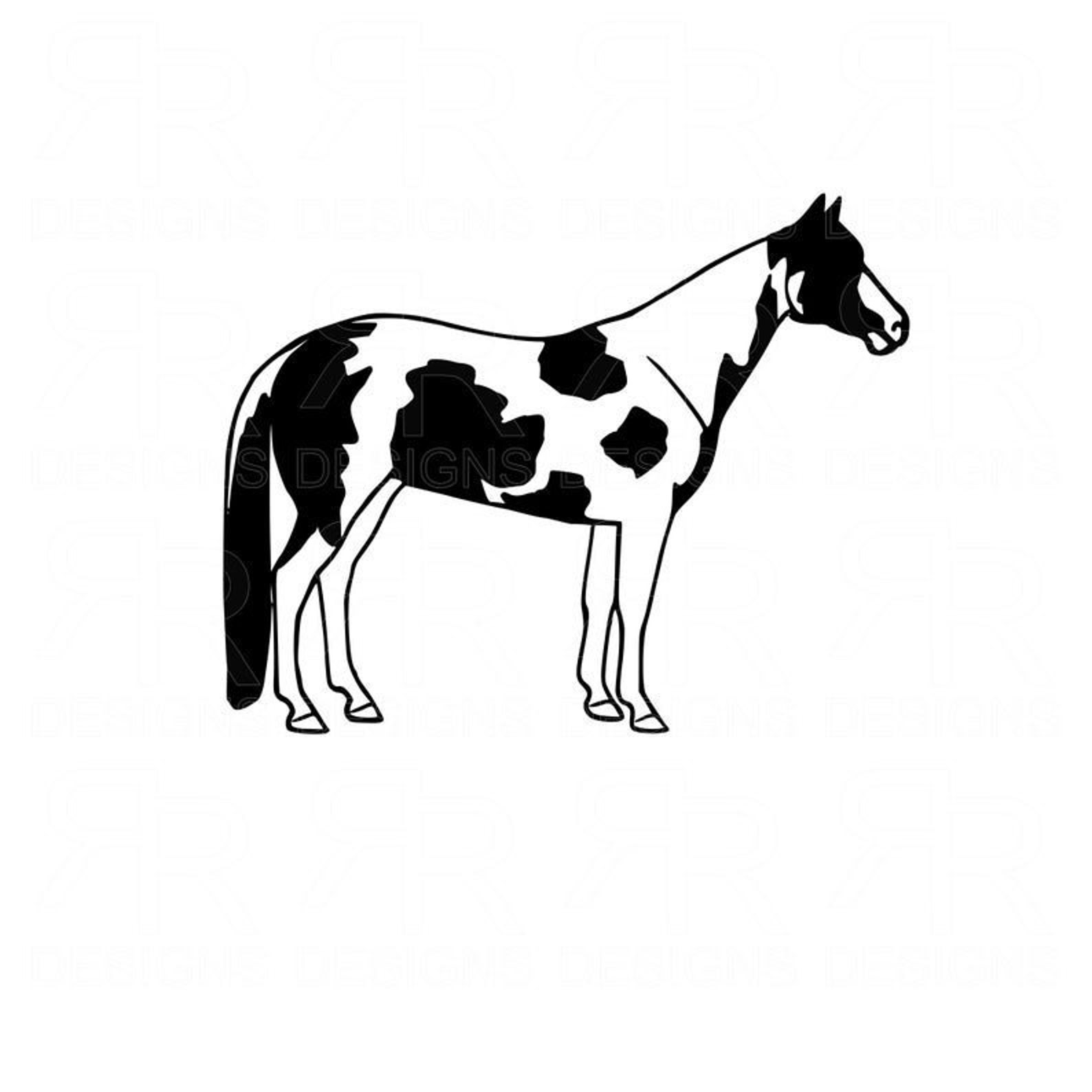 Paint Horse Vinyl Decal I FREE SHIPPING on Eligible Orders I Etsy