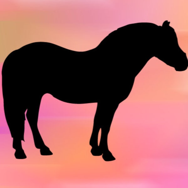 Fjord Horse Vinyl Decal - FREE SHIPPING on Eligible Orders! I Equestrian I Waterproof I Equine