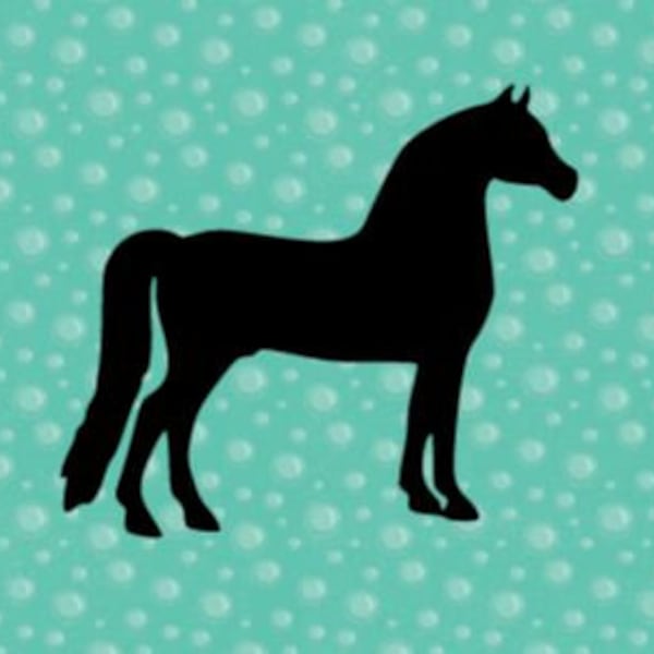 Morgan Horse Vinyl Decal - FREE SHIPPING on Eligible Orders! I Equestrian I Waterproof I Equine