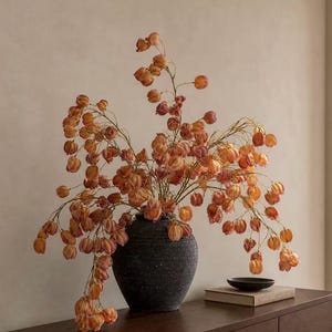 Pode incluir: Um vaso de cerâmica cinza-carvão escuro, redondo e texturizado, preenchido com hastes altas e arqueadas de vagens secas nas cores laranja e pêssego. O vaso repousa sobre uma superfície de madeira escura ao lado de um livro e uma pequena tigela preta rasa.