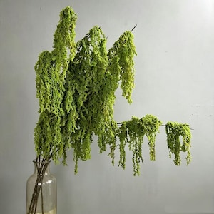 Op de afbeelding: Een heldere glazen vaas met verschillende stelen van kunstmatige fel limoengroene amarant. De plant heeft lange, trapsgewijze, getextureerde bloemtrossen die naar beneden hangen vanaf dunne, donkerbruine houtachtige stelen.