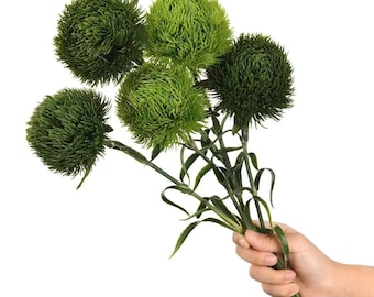 Set di 4 steli di cardo verde artificiale a forma di globo, decorazione rustica per vasi e fiori, ideale per la casa.