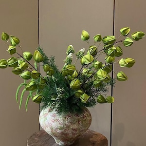 Könnte beinhalten: Ein dekoratives Arrangement aus grünen, glockenförmigen Samenkapseln und federartigem Blattwerk in einer runden, gesprenkelten Keramikvase mit melierter Oberfläche. Die Stiele ragen in einer breiten, symmetrischen Fächerform nach außen.
