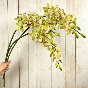 May include: A long, arching stem of artificial cymbidium orchids featuring multiple lime green petals and a central labellum with deep magenta and white markings. The floral arrangement includes several unopened green buds along the stems.