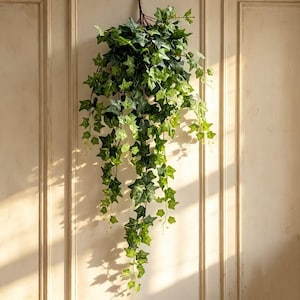 Puede incluir: Una planta de hiedra artificial colgante que presenta numerosas hojas puntiagudas y lobuladas en varios tonos de verde vibrante y oliva. El follaje está dispuesto en tallos delgados y flexibles que caen en cascada desde un punto central.