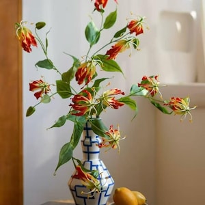 Può includere: Un vaso in ceramica bianca con un motivo a griglia geometrica blu contiene diversi fiori di gloriosa con petali rossi e gialli. Accanto al vaso si trova una piccola ciotola bianca contenente due limoni gialli su una superficie di legno scuro.