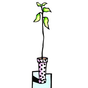 May include: A green plant with several leaves growing in a pink polka dot pot with a light blue base.
