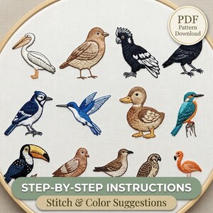 Könnte beinhalten: Ein Stickmuster mit zwölf verschiedenen Vögeln, darunter ein weißer Pelikan, ein brauner Spatz, ein schwarzer Kakadu, ein Blauhäher, ein Kolibri, ein Entenküken, ein Eisvogel, ein Tukan und ein Flamingo, mit dem Text PDF Pattern Download.