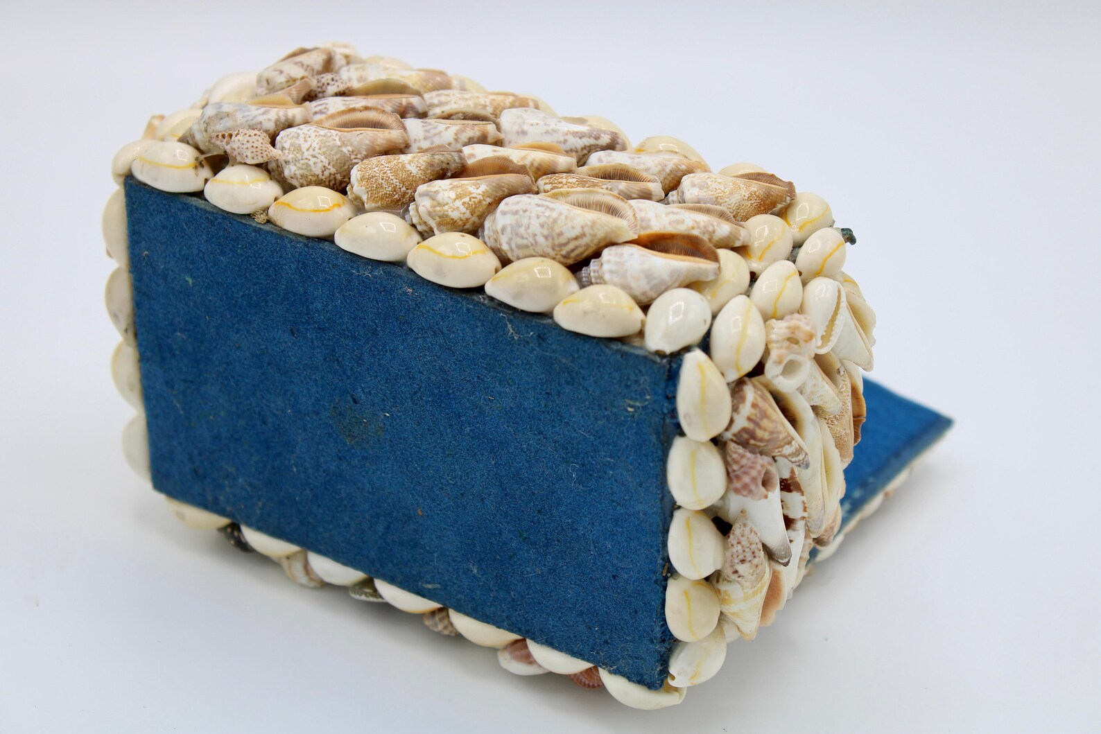 Vintage Coastal Seashell Jewelry Box Etsy