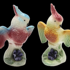 Mid 20th Century Colorful Ceramic Parrot Figurines - a Pair