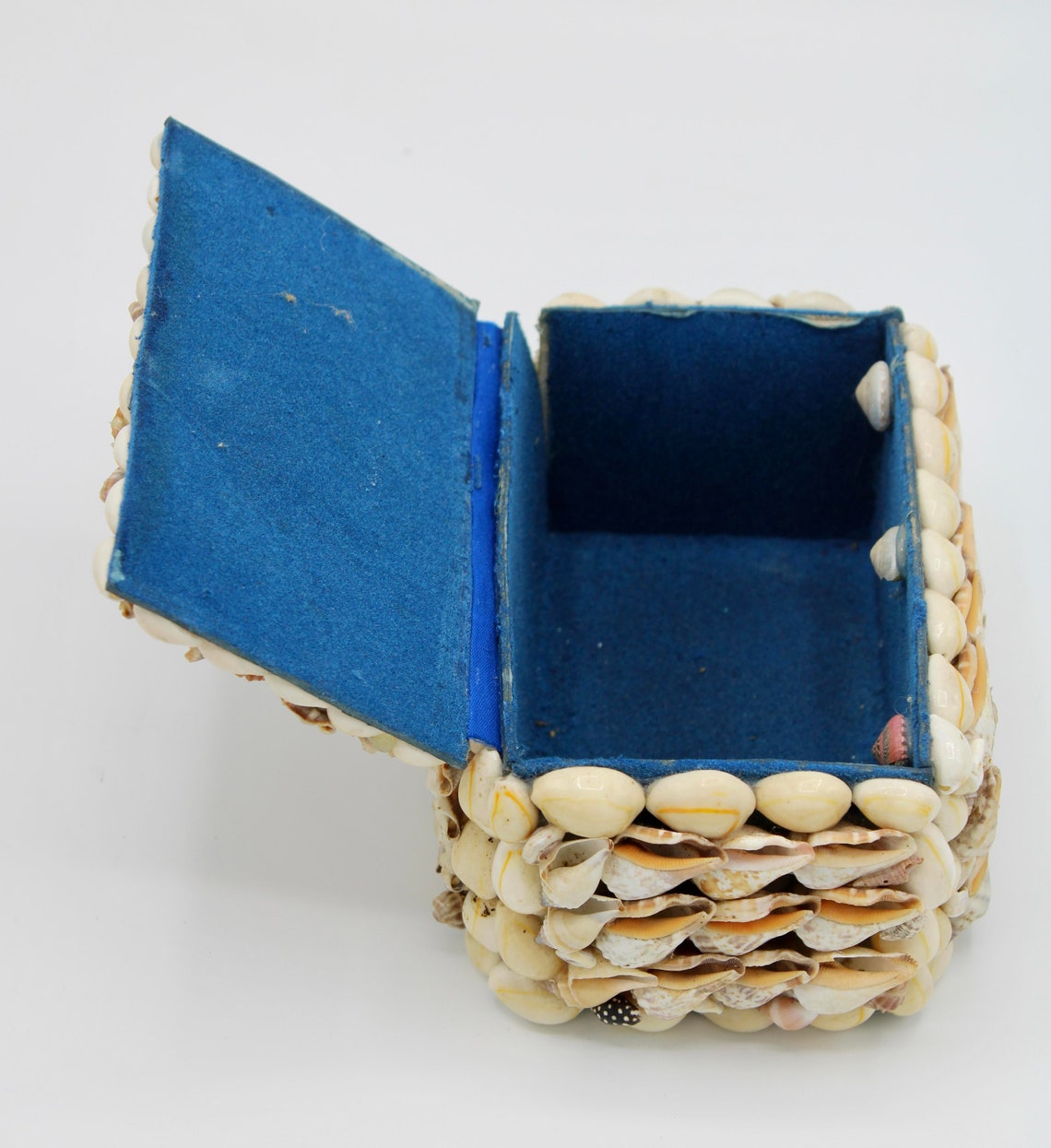 Vintage Coastal Seashell Jewelry Box Etsy