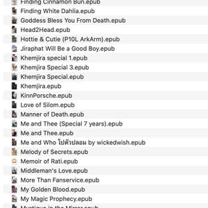 May include: A list of e-book titles, including "17th Spring.epub", "A Tale of Thousand Stars.epub", and "Burnout Syndrome.epub". The titles are displayed in a vertical format with a small icon next to each title.