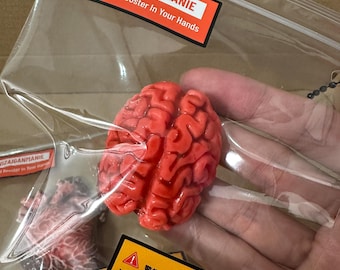 Anatomy Squishy Collection｜Guts & Brains Stressleksak, Fidget