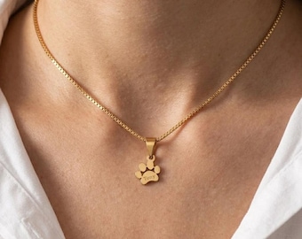 Op de afbeelding: Een goudkleurige metalen ketting met een fijne schakelketting en een kleine hanger in de vorm van een pootafdruk. De hanger is gegraveerd met de naam Tony in een eenvoudig, duidelijk lettertype. De ketting rust op de hals en glanst.