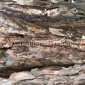May include: A close-up view of rough, textured tree bark featuring deep ridges and layers in shades of dark brown, reddish-brown, and grey. The surface displays a complex, organic pattern with natural fissures and overlapping plates of bark.