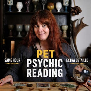 May include: A woman with long red hair sits at a table with tarot cards and a crystal ball. The text on the image reads "PET PSYCHIC READING" with additional text indicating "SAME HOUR" and "EXTRA DETAILED".