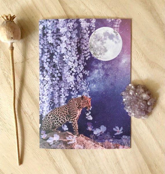 Moonlight Card Blank Moonlight Card Blank