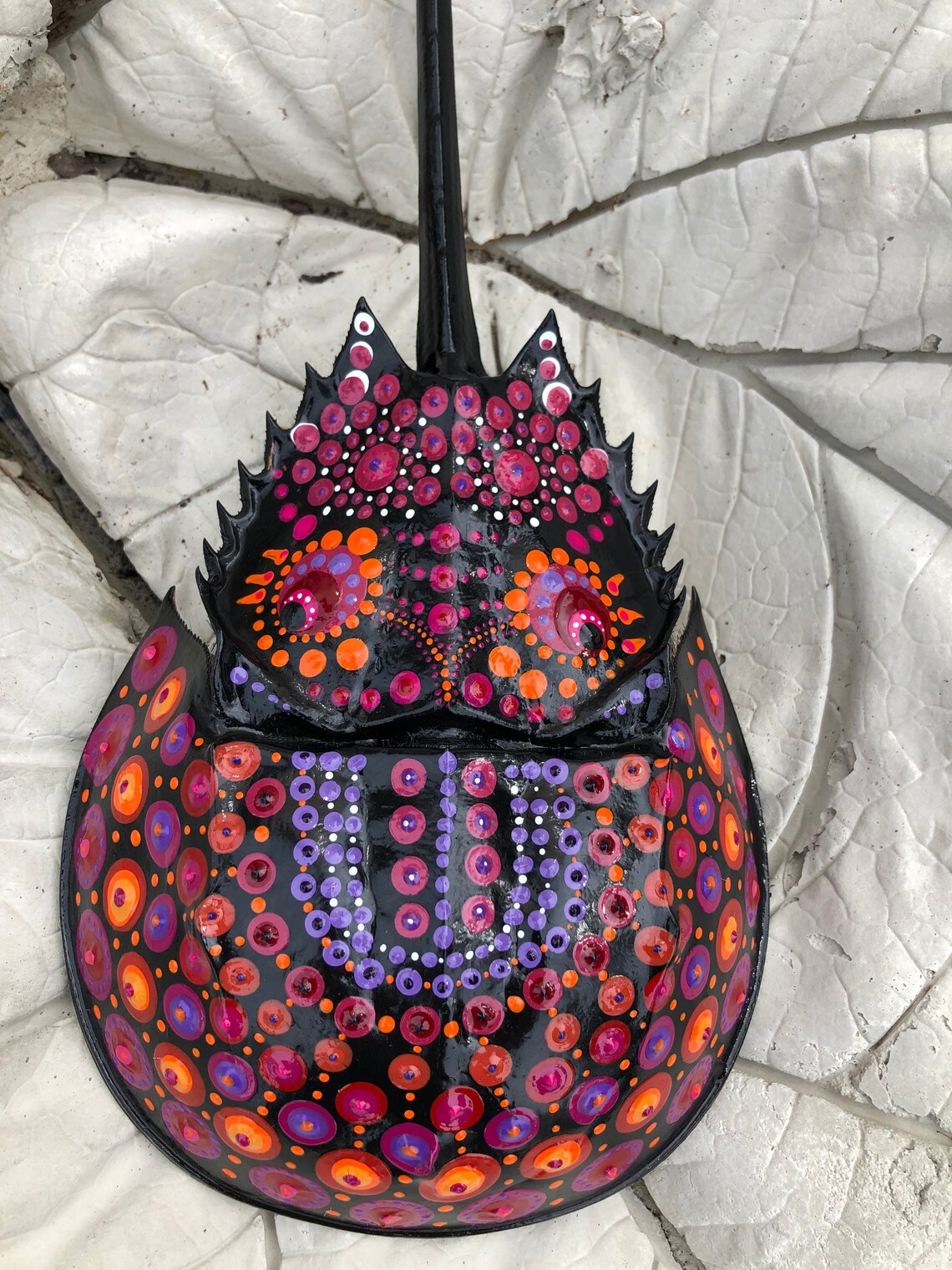 Hand Painted Horseshoe Crab Limulus Shell Etsy