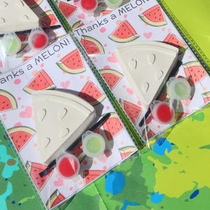 Watermelon Plaster Paint Kits - Fun DIY Craft for Kids Birthday Party Favors  - Birthday Activities - Thank You Gift