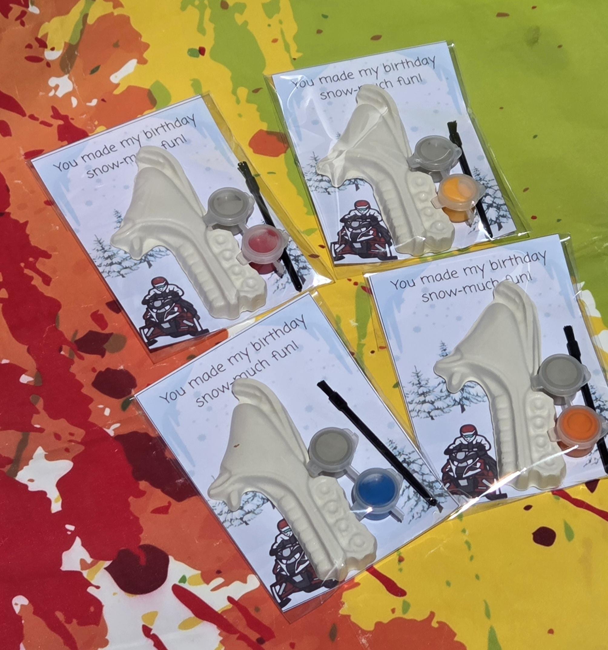 Snowmobile Paint Kit