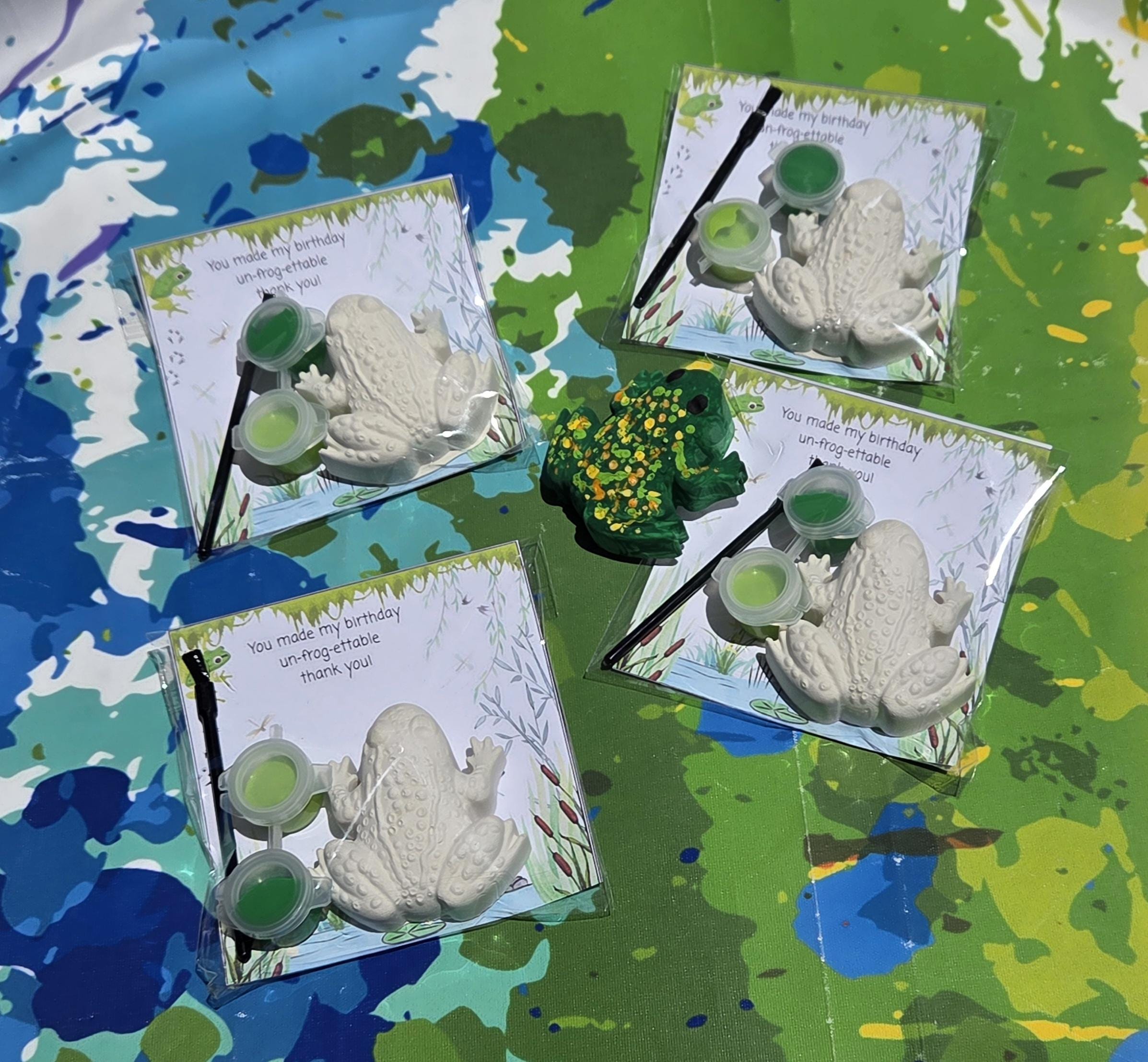 Frog Plaster Paint Kit