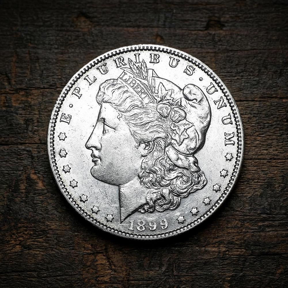 1899 morgan silver dollar - Etsy 日本