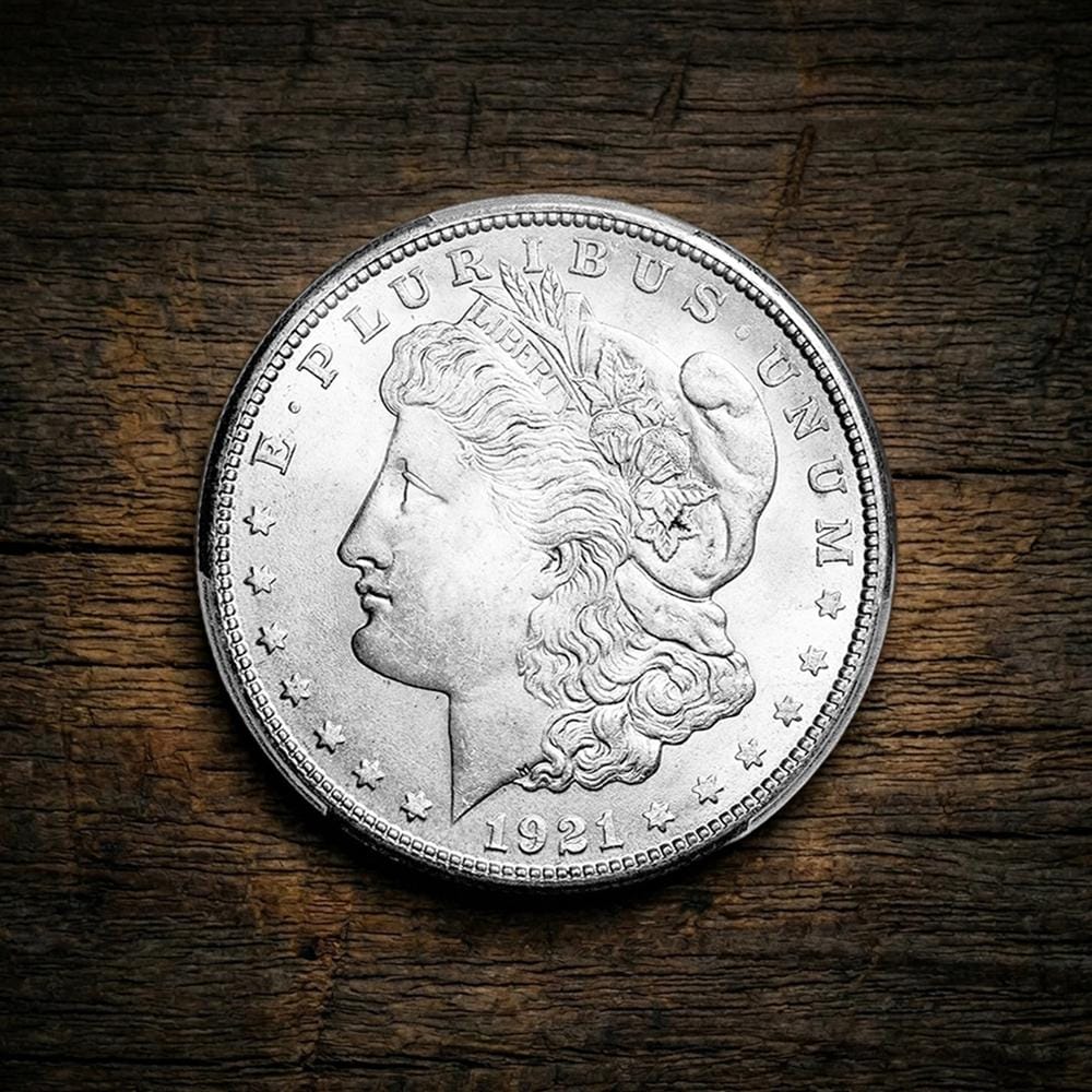 1921 silver dollar - Etsy 日本