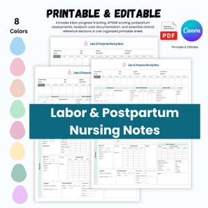 Puede incluir: Un documento imprimible y editable de notas de enfermería para trabajo de parto y posparto con secciones para datos del paciente, progreso del parto, puntuación APGAR y cuidado del recién nacido, disponible en ocho colores.