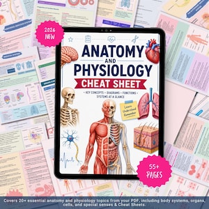 Complete anatomy and physiology cheat sheet Bundle | A&P | Nursing Notes.pdf