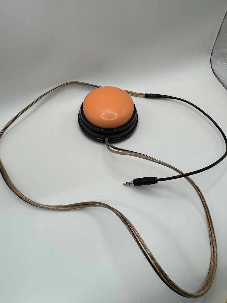 Adapted push button image 4