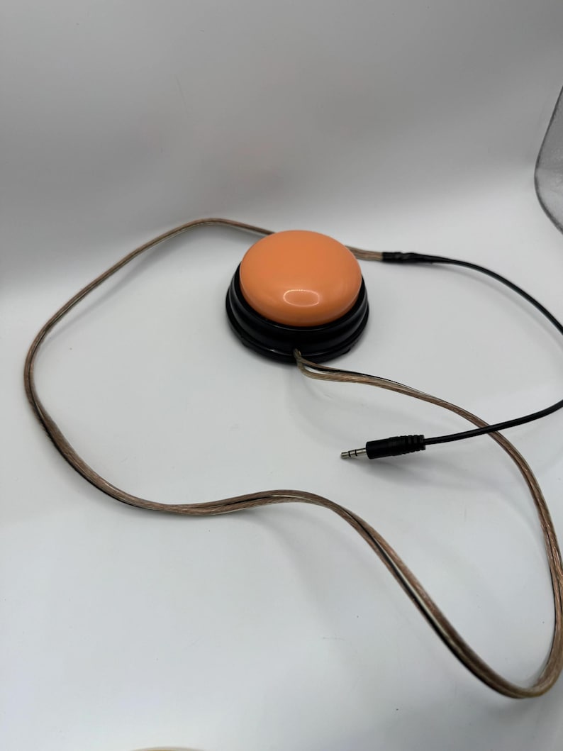 Adapted push button image 2
