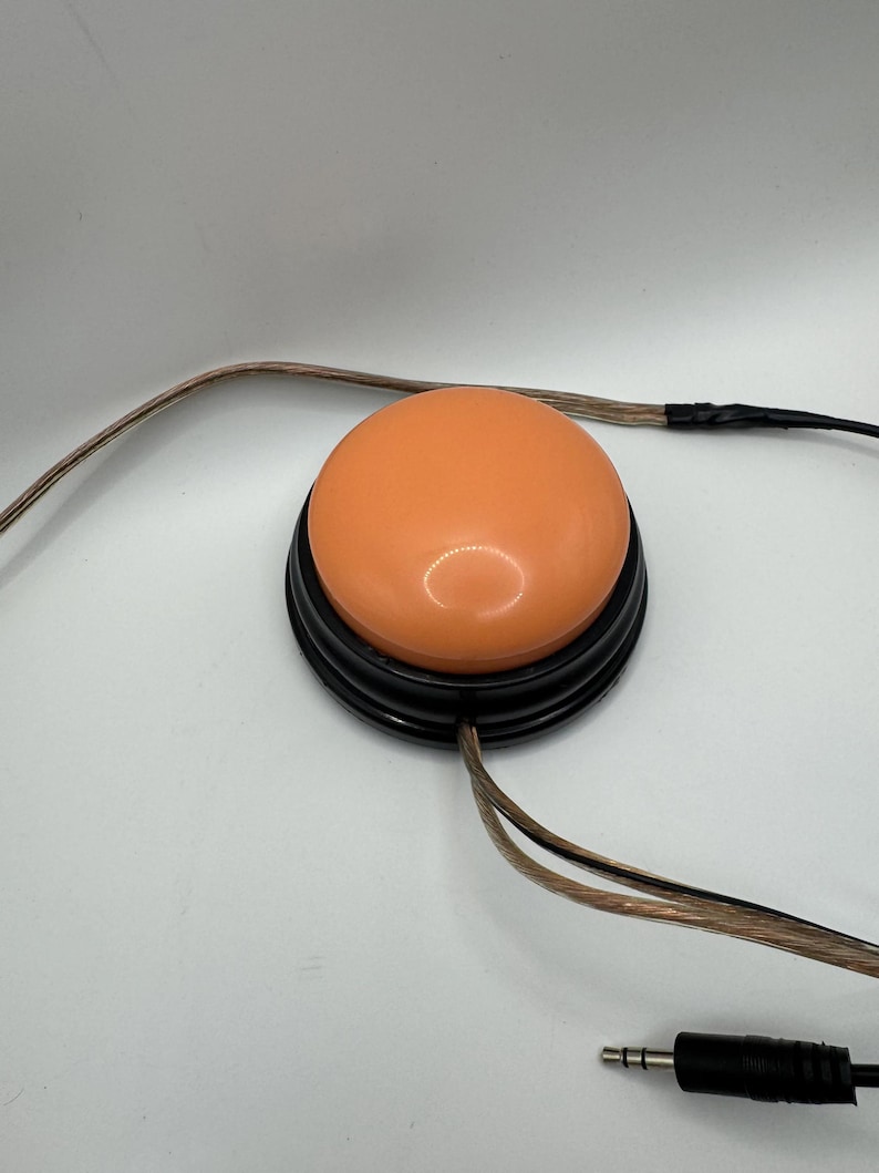 Adapted push button image 1