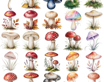 Pacchetto di immagini PNG di funghi ad acquerello, clipart di funghi in stile cottagecore, immagini PNG botaniche della foresta, arte di funghi nel bosco, download digitale per uso commerciale