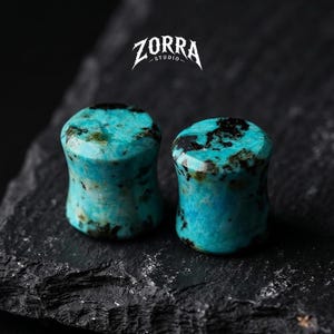 May include: Two turquoise stone ear plugs with dark brown and black veining. The plugs are cylindrical with a slightly flared shape. The background is a dark, textured surface. The ZORRA STUDIO logo is at the top.