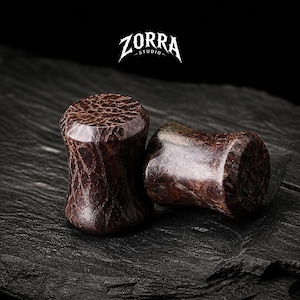 May include: Two brown, textured ear plugs with a dark, mottled appearance. One plug stands upright, while the other rests on its side. The plugs are set against a dark background, with the "ZORRA STUDIO" logo visible.