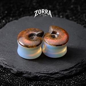 Puede incluir: Dos tapones para los oídos iridiscentes con un diseño en espiral. Los tapones tienen una parte superior marrón y naranja con una base blanca y azul. Los tapones están sobre una superficie negra. El logotipo de ZORRA STUDIO está en la parte superior.