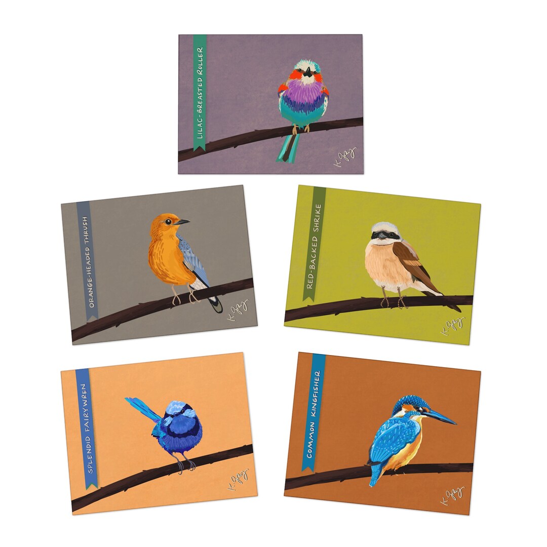 Illustrated Bird Note Cards 5pack Etsy