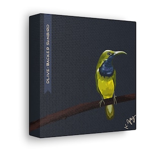 Olive-Backed Sunbird Bird Lover Canvas Wall Art
