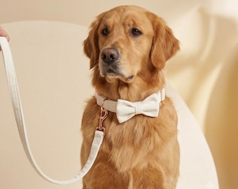 May include: A golden retriever wearing a cream-colored dog collar with a matching bow tie and a long leash. The collar and leash feature rose gold metal hardware, including a D-ring and a swivel clasp, providing a secure and functional design.