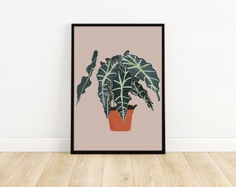Alocasia Print - Alocasia Polly “Elephants Ear” digital illustriertes Kunstwerk - A4 Zimmerpflanze Druck - Zimmerpflanze Wandkunst - Neues Zuhause Geschenk